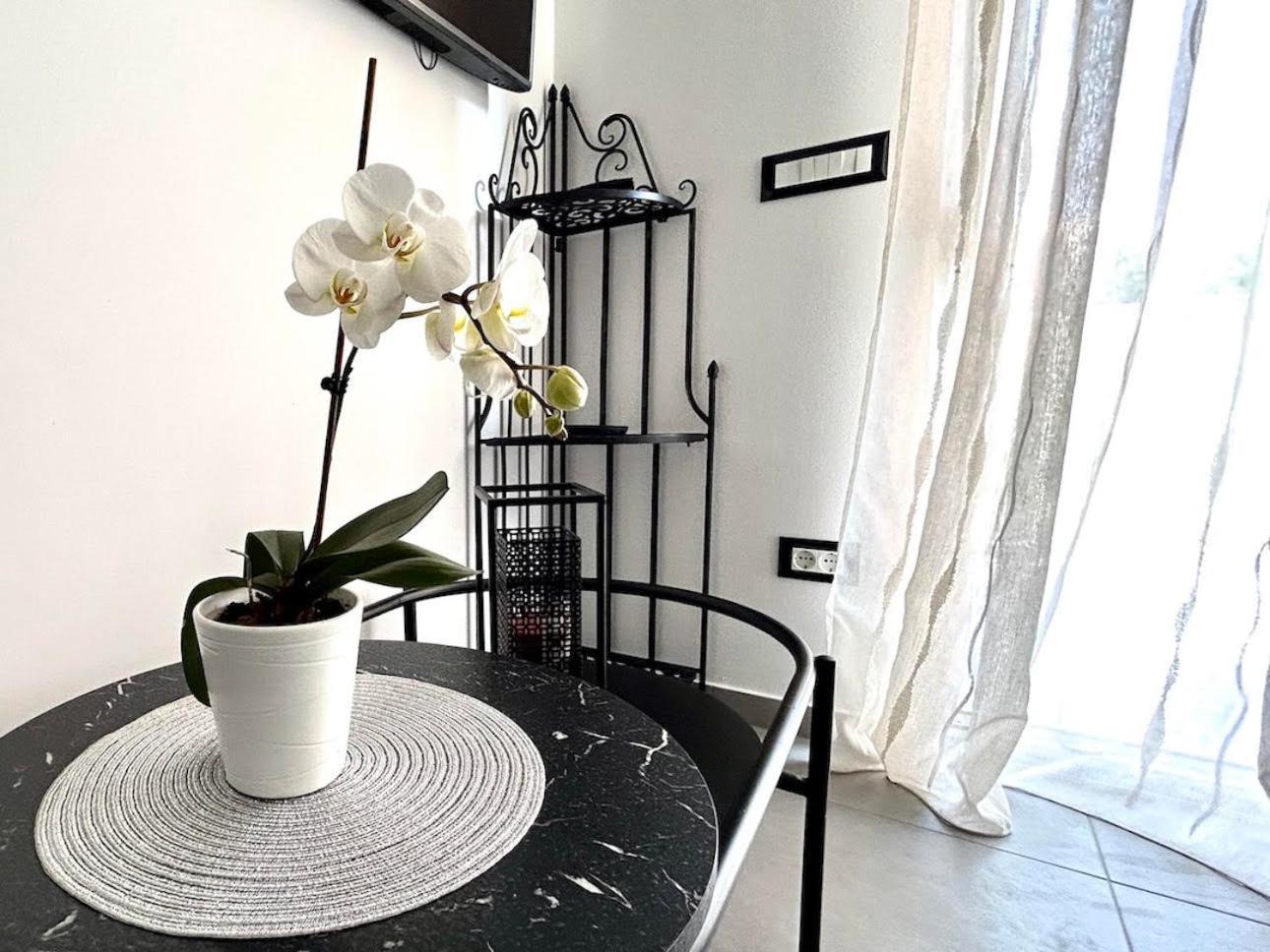 Apartment Diva Zambratija  Ngoại thất bức ảnh